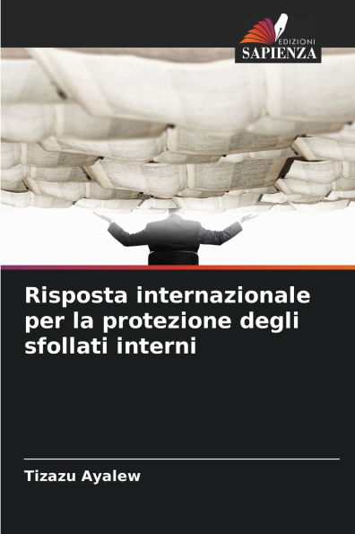 Risposta internazionale per la protezione degli sfollati interni