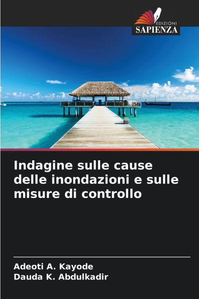 Indagine sulle cause delle inondazioni e sulle misure di controllo