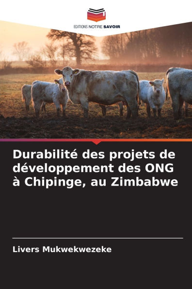 DurabilitÃ¯Â¿Â½ des projets de dÃ¯Â¿Â½veloppement des ONG Ã¯Â¿Â½ Chipinge, au Zimbabwe