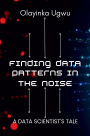 Finding Data Patterns in the Noise: A Data Scientist's Tale
