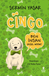 Title: Cingo, Author: Sermin Yasar