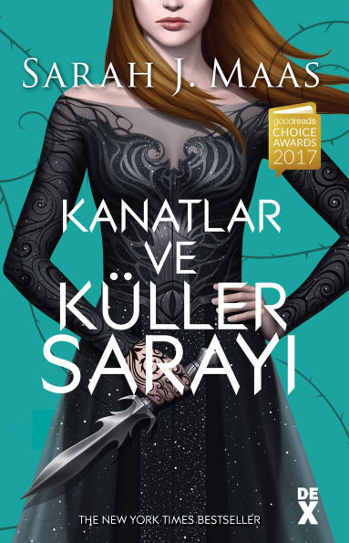 Dikenler Ve Güller Sarayi 3 - Kanatlar ve Küller Sarayi