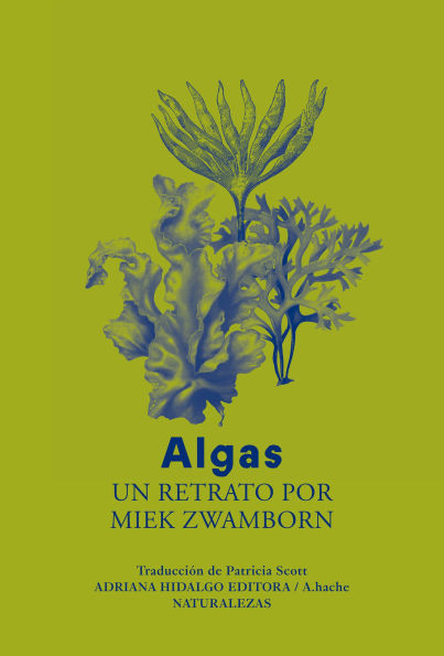 Algas: Un retrato por Miek Zwamborn
