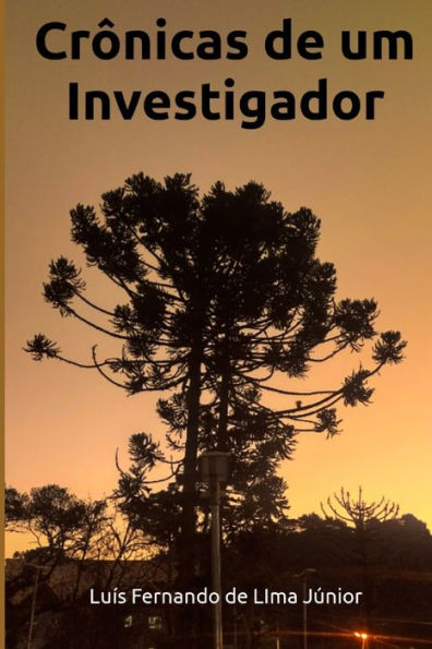 Crï¿½nicas de um Investigador: O trabalho cotidiano da Equipe da Delegacia de Campos do Jordï¿½o na investigaï¿½ï¿½o de Crimes Sexuais