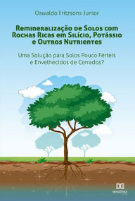 Title: Remineralização de Solos com Rochas Ricas em Silício, Potássio e Outros Nutrientes: Uma Solução para Solos Pouco Férteis e Envelhecidos de Cerrados?, Author: Oswaldo Fritzsons Junior