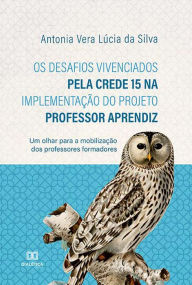 Title: Os desafios vivenciados pela CREDE 15 na implementação do projeto professor aprendiz: um olhar para a mobilização dos professores formadores, Author: Antonia Vera Lúcia da Silva