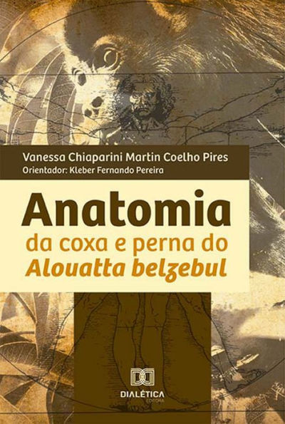 Anatomia da coxa e perna do Alouatta belzebul