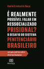 É Realmente Possível Falar em Ressocializado Prisional? O Desafio do Sistema Penitenciário Brasileiro: um guia prático sobre Direitos Humanos