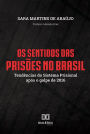 Os Sentidos das Prisões no Brasil: tendências do sistema prisional após o golpe de 2016
