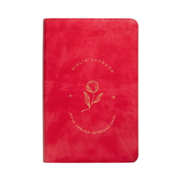 Bíblia Sagrada, Letra grande, Rosado, Nova Versão Internacional