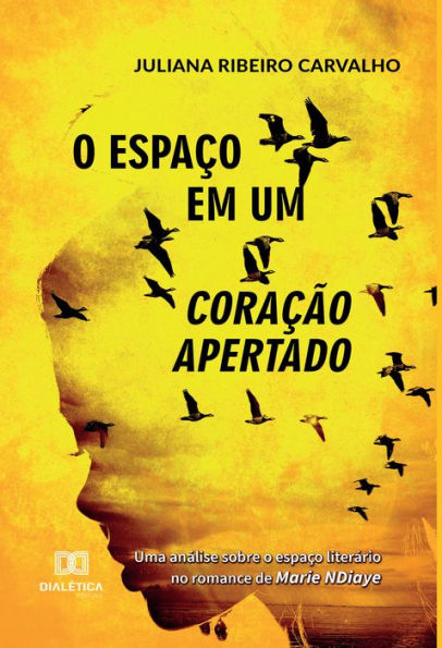 O espaço em um coração apertado: uma análise sobre o espaço literário, no romance de Marie NDiaye