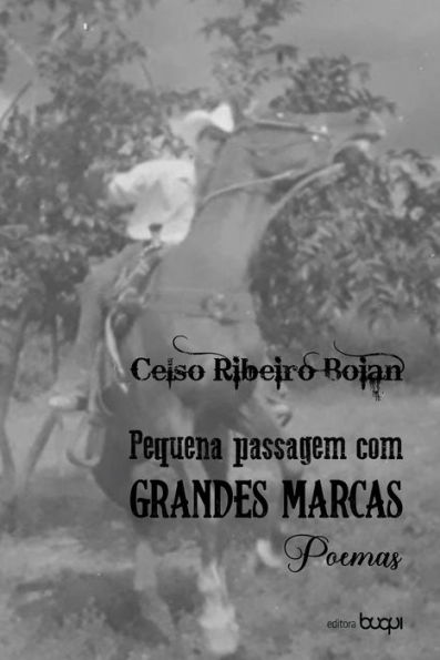 Pequena passagem com grandes marcas: Poemas