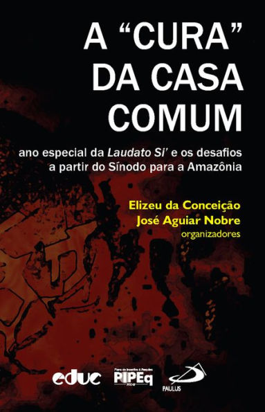 A cura da Casa Comum: ano especial da Laudato Si' e os desafios a partir do Sínodo para a Amazônia