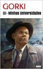 Minhas Universidades - GORKI III