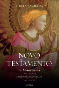 Title: Box Bíblia Sagrada: Novo Testamento, Author: Petra