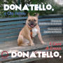 Donatello, o Cão Farelo