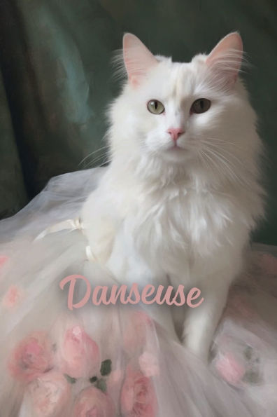 Danseuse: notebook