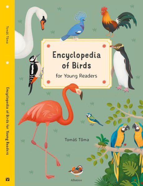 Encyclopedia of Birds for Young Readers: for Young Readers