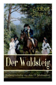 Title: Der Waldsteig (Liebesgeschichte aus dem 19. Jahrhundert): Die Lebensgeschichte eines Außenseiters, Author: Adalbert Stifter