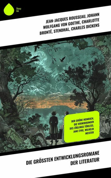 Die größten Entwicklungsromane der Literatur: Der Grüne Heinrich, Die Verwirrungen des Zöglings Törleß, Jane Eyre, Wilhelm Meister