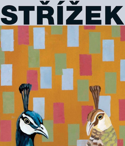 Antonín Strízek: Paintings