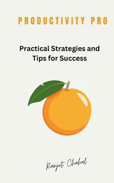 Productivity Pro: Practical Strategies and Tips for Success