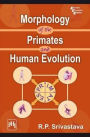 MORPHOLOGY OF THE PRIMATES AND HUMAN EVOLUTION