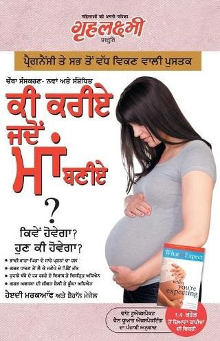What To Expect When You are Expecting in Punjabi (?? ???? ???? ??? ???? ?: ????? ?????? ? ??? ?? ?????? ?) The Best Pregenancy Book By - Heidi Murkoff & Sharon Mazel