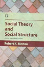 Social Theory and Social Structure