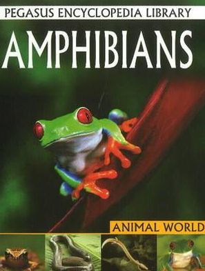 Amphibiansanimal World