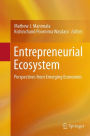 Entrepreneurial Ecosystem: Perspectives from Emerging Economies