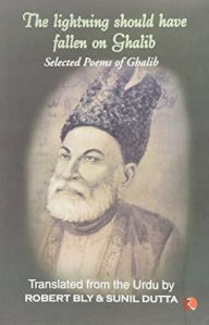 Title: The Lightning Should Have Fallen on Ghalib, Author: G.D. Thapar