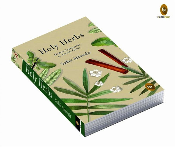 Holy Herbs: Modern Connections to Ancient Plants