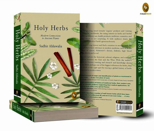Holy Herbs: Modern Connections to Ancient Plants