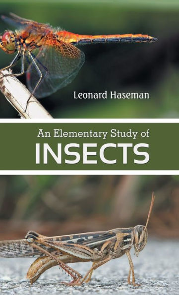 An Elementary Study of insects