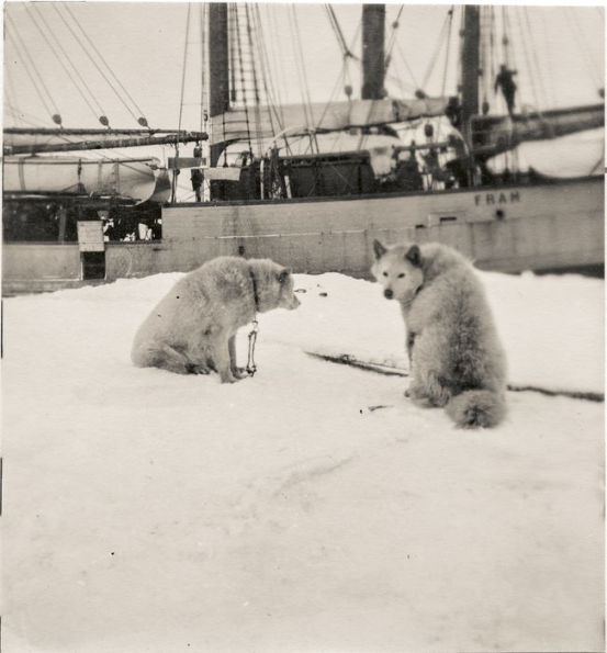 The Nansen Photographs