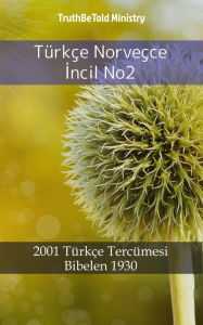 Title: Türkçe Norveçce Incil No2: 2001 Türkçe Tercümesi - Bibelen 1930, Author: TruthBeTold Ministry