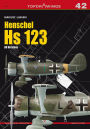 Henschel Hs 123. All Versions