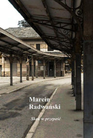 Title: Skok w przepasc: opowiadania, Author: Marcin Radwa