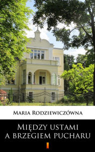 Title: Miedzy ustami a brzegiem pucharu, Author: Maria Rodziewiczówna