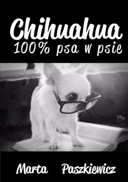 Chihuahua 100% psa w psie