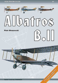 Title: Albatros B.II, Author: Piotr Mrozowski