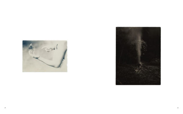 Masao Yamamoto: Small Things in Silence: Third Edition