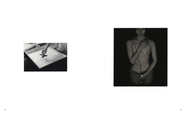 Masao Yamamoto: Small Things in Silence: Third Edition