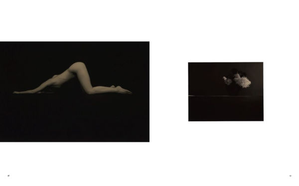 Masao Yamamoto: Small Things in Silence: Third Edition