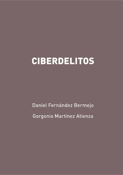 Ciberdelitos