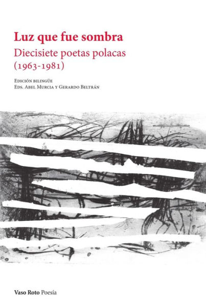 Luz que fue sombra: Diecisiete poetas polacas (1963-1981)