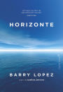 Horizonte