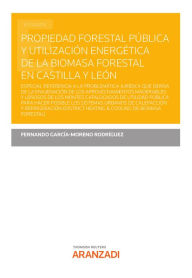 Title: Propiedad forestal pública y utilización energética de la biomasa forestal en Castilla y León, Author: Fernando García-Moreno Rodríguez