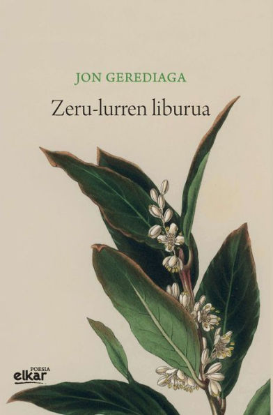 Zeru-lurren liburua (Irun hiria poesia)